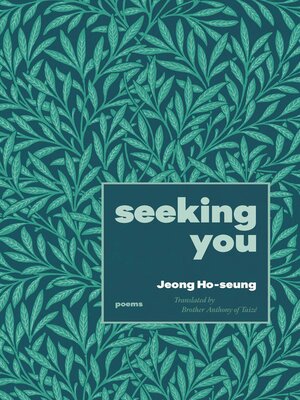 cover image of Seeking You
